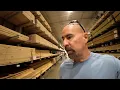 I WENT TO LOWE S TODAY I WAS SHOCKED BY PRICES - LUMBER PRICES UP 10 FROM LAST YEAR