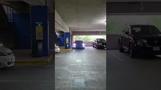 Tesla Custom Pedestrian Warning System 