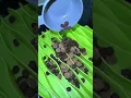 What is Kibble Dog Food