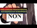 NON LINEAR PROGRAMMING