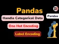 Handle Categorical Data in Pandas Label Encoding One Hot Encoding for Categorical Data Devduniya