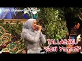 Download Lagu TERHARU! SELFI YAMMA nyanyi Lagu Makassar \