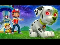 Lagu ¡Oh no! 😱 MARSHALL se va de casa… ¿Qué está pasando? | PAW Patrol en Español | Rainbow 3