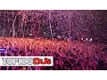 Download Lagu Top 100 DJs 2014 Results - + Live sets from Hardwell \u0026 Deorro