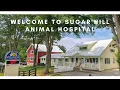 Sugar Hill Animal Hospital Tour 2021