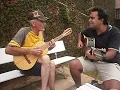 Viola em noite de lua.AVI