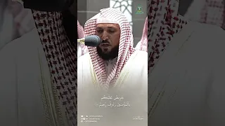 لقد جاءكم رسول من أنفسكم عزيز عليه ما عنتم ماهر المعيقلي 
