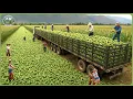 The 2025 Harvest Rush - How Farmers Reap 9 8 Billion Tons of Crops In Massive Harvests