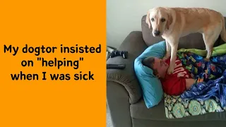 50 Animal Memes That Show Just How Weird Pets Can Be