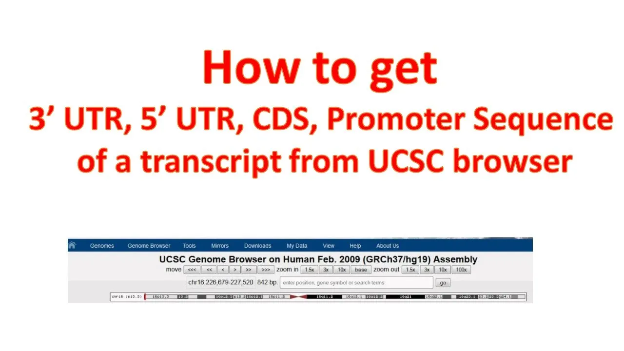 5' UTR, 3' UTR, CDS, Promoter sequence of a transcript from UCSC Genome browser