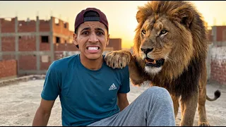 لقيت اسد في بيتي وهجم عليا😱