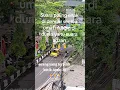 # video shorts# suara yang paling merdu dan enak di dengar #