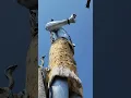 Download Lagu Haridwar,,India,Lord Shiva ,Religous city of Hindus