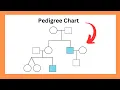 Pedigree Chart Introduction