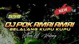 DJ POK AMAI AMAI - YANG LAGI VIRALL BANGET || STYLE R2 PROJECT - BY MAN PRODUCTION