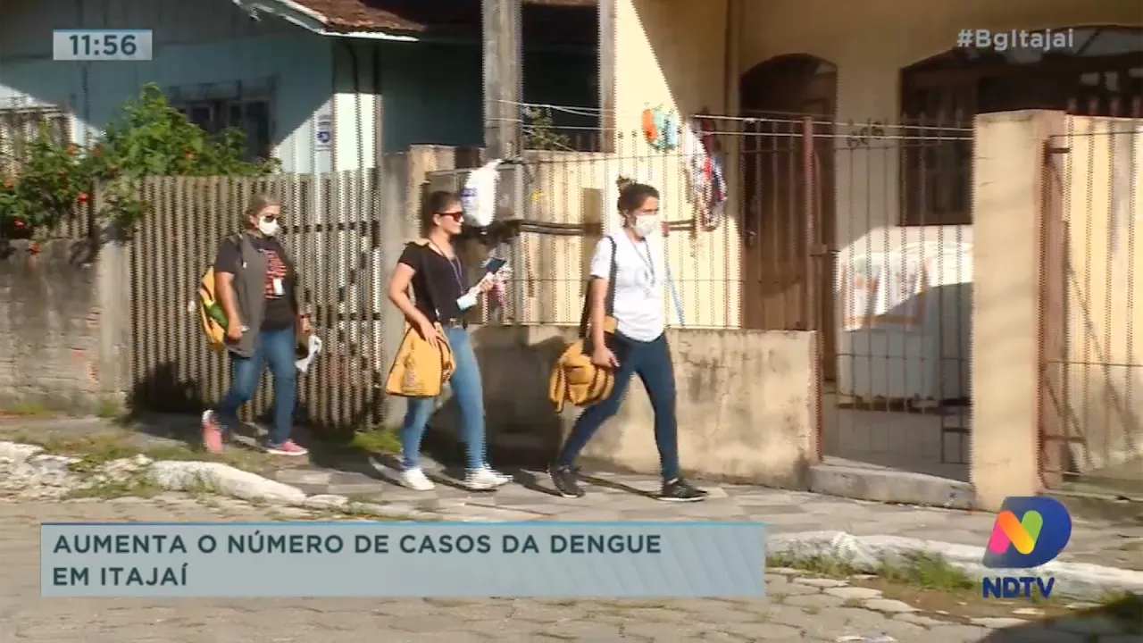 Aumenta o número de casos de dengue em Itajaí