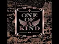 One of a Kind