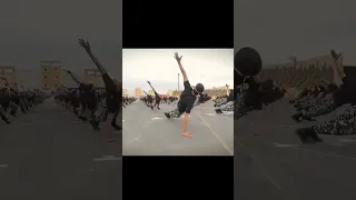                                                                دندنها