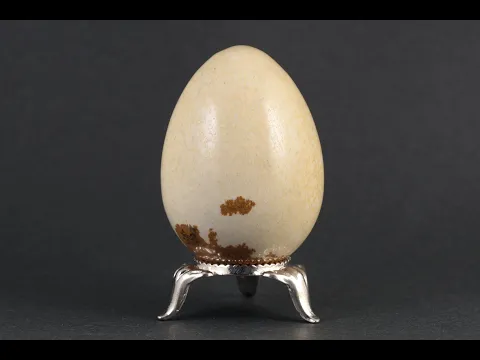 ピクチャージャスパー たまご形 90g｜卵型天然石 通販 キラリ石