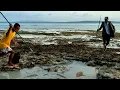 Download Lagu Nekat! KEJAR KEJARAN SAMA IKAN MEMATIKAN \u0026 PALING DITAKUTI MANUSIA, Ikannya Bertumpuk 😱