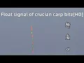 Download Lagu Float signal of crucian carp bite[HD]