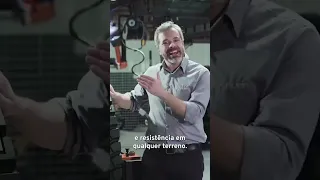                     دندنها