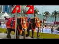 Lagu Welcome to  QATAR 🇶🇦 /यहा यसरी बसेका   Alkhor park 