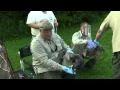 How Biologist Band Geese For Research