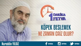 Köpek beslemek ne zaman caiz olur?
