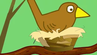 the green grass grows all around nature movement song for kids listening u0026 observation skills 