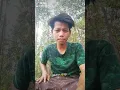 Download Lagu Gagal merangkai hati
