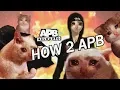HOW 2 APB
