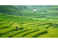 Download Lagu Sapa , Vietnam