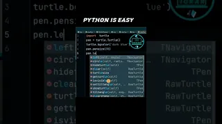 Drawing letter D Python