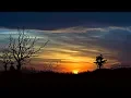 Download Lagu Backsound Relaksasi Suara Burung Di Kampung Halaman Pedesaan