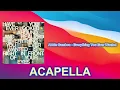 Abbie Gamboa - Everything You Ever Wanted (ACAPELLA) Vocals Only