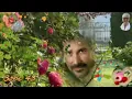 Download Lagu Kaczor Feri  Gyere vissza várlak  Böbe 43