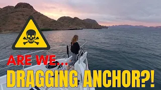 ANCHOR DRAGGING? ⚓️  A Surprise Party, Anchorage Dolphins, & We Wake Up WAY too Close to Shore!