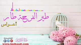 طير الفرحة طار محمد الخير أعراس Wedding Song  طير الفرحة طار محمد الخير أعراس Wedding Song