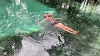 Following in Bartram’s Trail with Gratitude