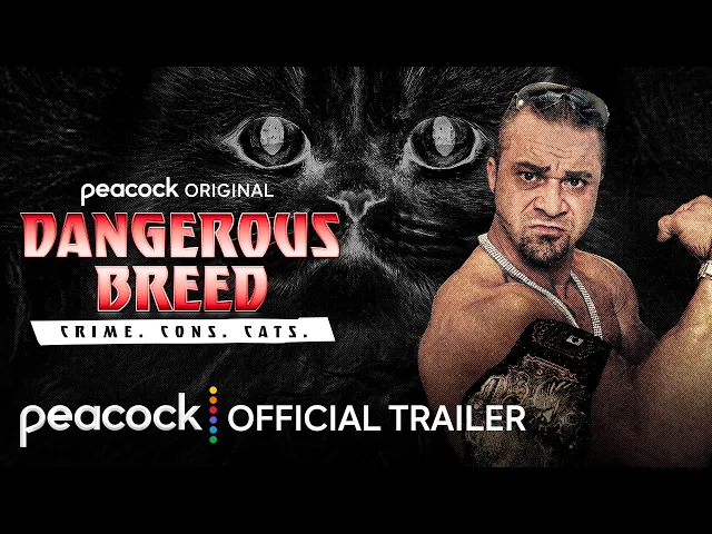 Dangerous Breed: Crime. Cons. Cats. | Official Trailer | Peacock Original