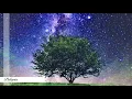 Polaris(feat.Kan Sano)