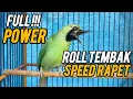 Download Lagu ✅ROLL TEMBAKAN SPEED RAPET‼️CUCAK IJO JAMTROK TEMBAKAN PANJANG Part 11