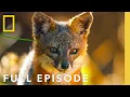 Discover the Channel Islands Full Episode America s National Parks National Geographic