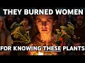 They Burned Women for Knowing These Plants 25 Ancient Medicines Still Growing Today
