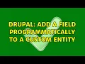 Drupal Add a field programmatically to a custom entity