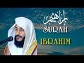 Download Lagu Surah Ibrahim | Abdulrahman Al Ossi | English Translation