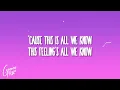 The Chainsmokers - All We Know ft. Phoebe Ryan