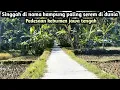 Download Lagu VIRAL!!.Nama kampung paling serem di dunia.pedesaan kebumen jawa tengah indonesia
