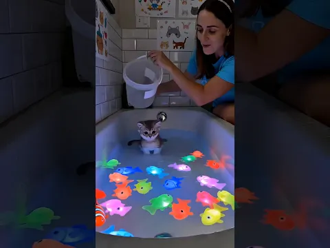 Cute Cats And Puppies Fun!